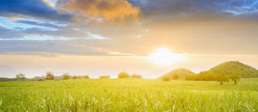 Integratin sustainability intro