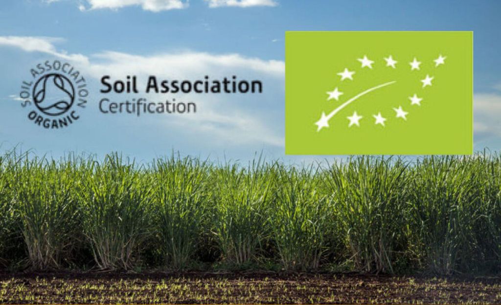 Um group organic molasses